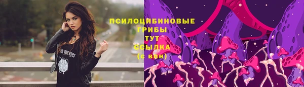 крисы Богданович