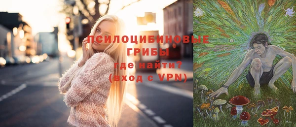крисы Богданович