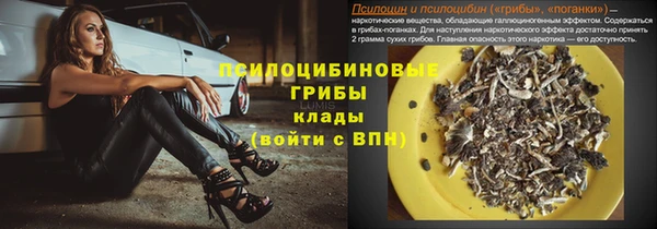 mdpv Богородск
