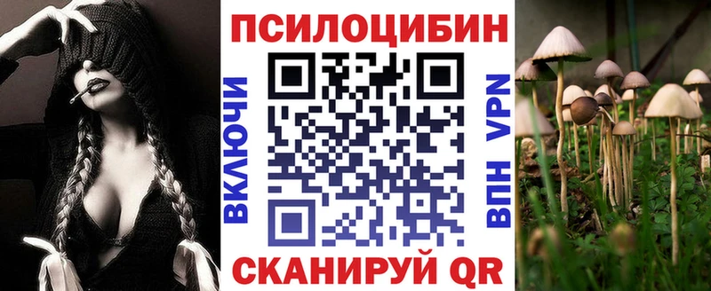 МЕГА рабочий сайт  Армавир  Псилоцибиновые грибы мицелий  сколько стоит 